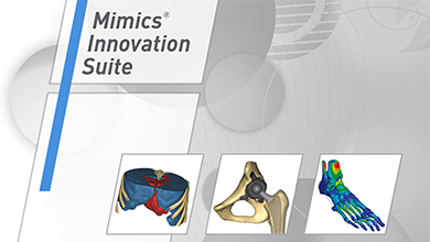 24——Mimics.jpg 24——Mimics.jpg